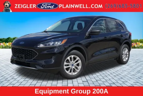 Black 2022 Ford Escape SE for sale in Plainwell, MI