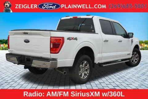 More photos of 2022 Ford F-150 XLT at Zeigler Ford of Plainwell, MI