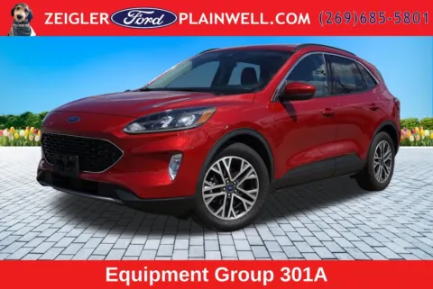 Red 2020 Ford Escape SEL for sale in Plainwell, MI