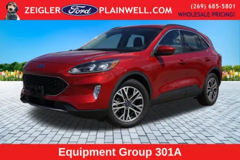 Red 2020 Ford Escape SEL for sale in Plainwell, MI