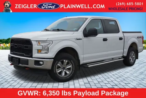 Blue 2017 Ford F-150 XLT for sale in Plainwell, MI