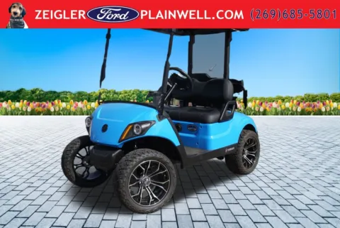 Unknown 2021 Yamaha Golf Cart Electric for sale in Plainwell, MI