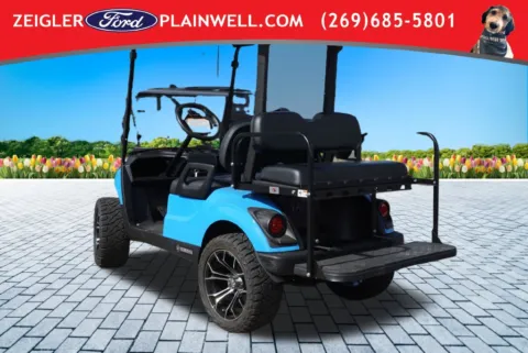 Another view of 2021 Yamaha Golf Cart Electric for sale in Plainwell, MI at Zeigler Ford of Plainwell