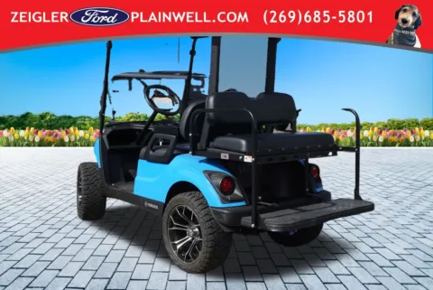 Another view of 2021 Yamaha Golf Cart Electric for sale in Plainwell, MI at Zeigler Ford of Plainwell