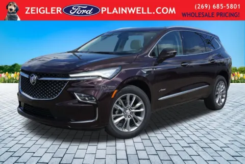 Unknown 2023 Buick Enclave Avenir for sale in Plainwell, MI