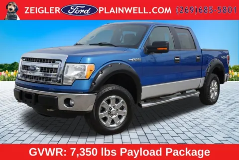 Blue 2013 Ford F-150 XLT for sale in Plainwell, MI
