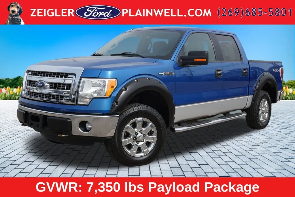 Blue 2013 Ford F-150 XLT for sale in Plainwell, MI