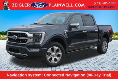 Gray 2021 Ford F-150 Platinum for sale in Plainwell, MI