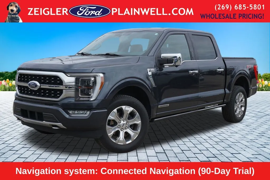 Gray 2021 Ford F-150 Platinum for sale in Plainwell, MI