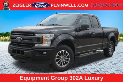 Black 2020 Ford F-150 XLT for sale in Plainwell, MI