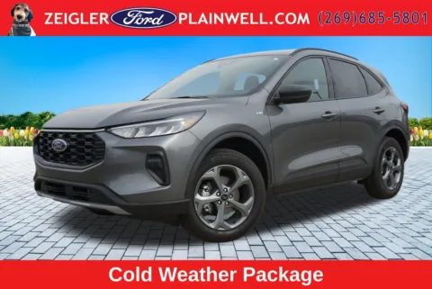 Gray 2025 Ford Escape ST-Line for sale in Plainwell, MI