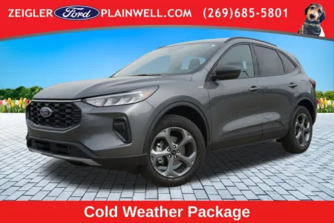 Gray 2025 Ford Escape ST-Line for sale in Plainwell, MI