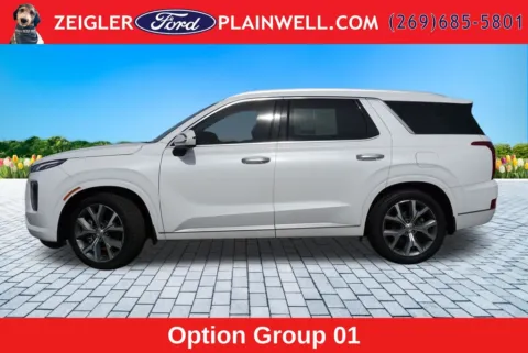 Photos of 2022 Hyundai Palisade Limited for sale in Plainwell, MI at Zeigler Ford of Plainwell