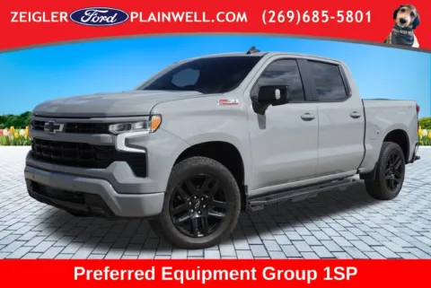Gray 2024 Chevrolet Silverado 1500 RST for sale in Plainwell, MI