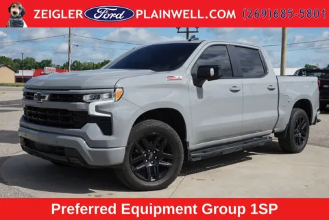 Gray 2024 Chevrolet Silverado 1500 RST for sale in Plainwell, MI