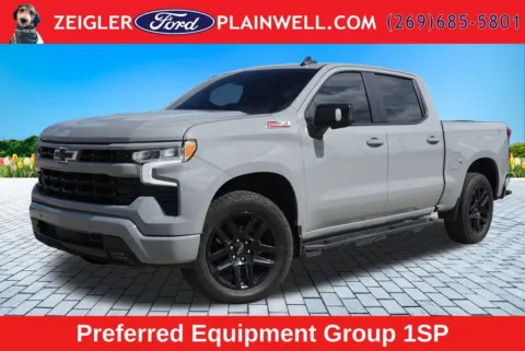 Gray 2024 Chevrolet Silverado 1500 RST for sale in Plainwell, MI