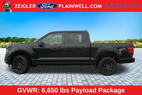 Photos of 2024 Ford F-150 STX for sale in Plainwell, MI at Zeigler Ford of Plainwell