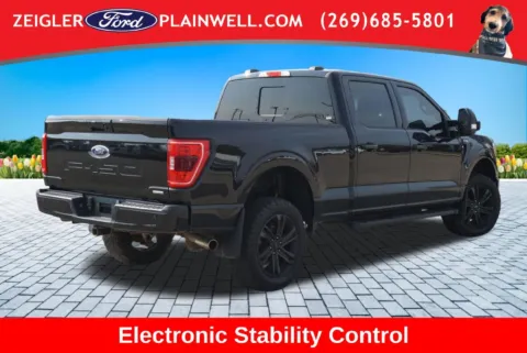 More photos of 2023 Ford F-150 XLT at Zeigler Ford of Plainwell, MI