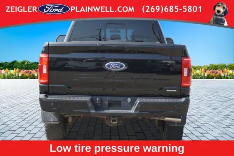 More photos of 2023 Ford F-150 XLT at Zeigler Ford of Plainwell, MI