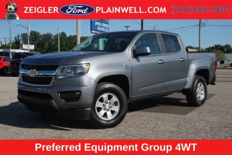 Gray 2020 Chevrolet Colorado Work Truck for sale in Plainwell, MI