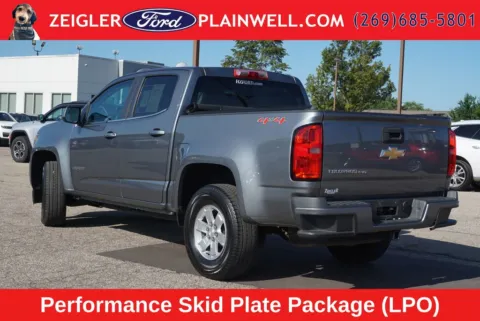 Another view of 2020 Chevrolet Colorado Work Truck for sale in Plainwell, MI at Zeigler Ford of Plainwell