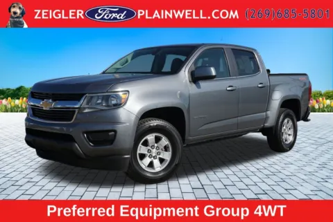 Gray 2020 Chevrolet Colorado Work Truck for sale in Plainwell, MI
