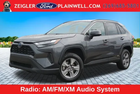 Gray 2023 Toyota RAV4 Hybrid LE for sale in Plainwell, MI