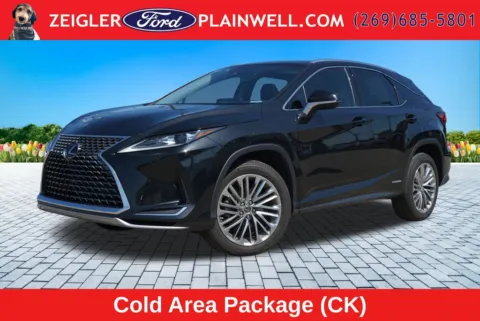 Black 2022 Lexus RX 450h for sale in Plainwell, MI