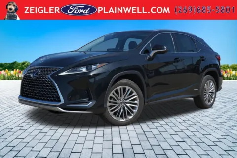 Black 2022 Lexus RX 450h for sale in Plainwell, MI