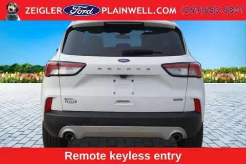 More photos of 2022 Ford Escape Hybrid SEL at Zeigler Ford of Plainwell, MI