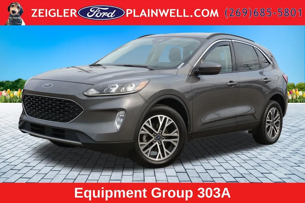 Gray 2021 Ford Escape Hybrid SEL for sale in Plainwell, MI