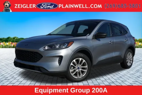 Silver 2022 Ford Escape SE for sale in Plainwell, MI