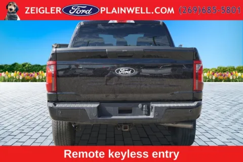 More photos of 2024 Ford F-150 STX at Zeigler Ford of Plainwell, MI