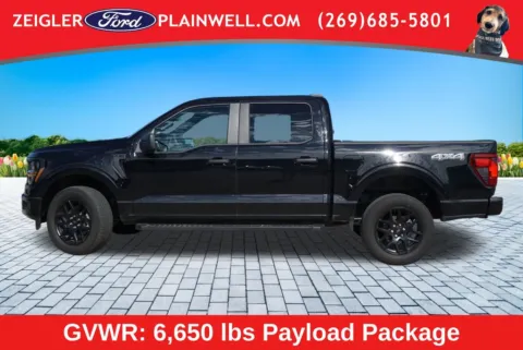 Photos of 2024 Ford F-150 STX for sale in Plainwell, MI at Zeigler Ford of Plainwell