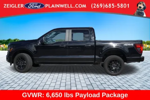 Photos of 2024 Ford F-150 STX for sale in Plainwell, MI at Zeigler Ford of Plainwell