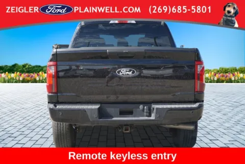 More photos of 2024 Ford F-150 STX at Zeigler Ford of Plainwell, MI