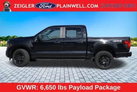 Photos of 2024 Ford F-150 STX for sale in Plainwell, MI at Zeigler Ford of Plainwell
