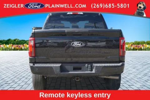 More photos of 2024 Ford F-150 STX at Zeigler Ford of Plainwell, MI