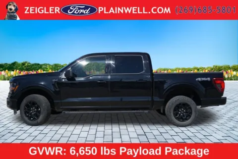 Photos of 2024 Ford F-150 XLT for sale in Plainwell, MI at Zeigler Ford of Plainwell