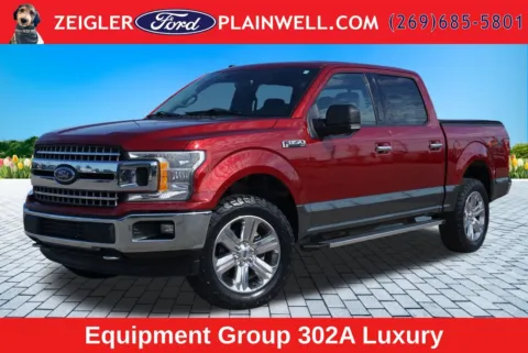 Unknown 2018 Ford F-150 XLT for sale in Plainwell, MI