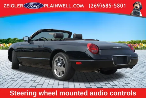 Another view of 2002 Ford Thunderbird for sale in Plainwell, MI at Zeigler Ford of Plainwell