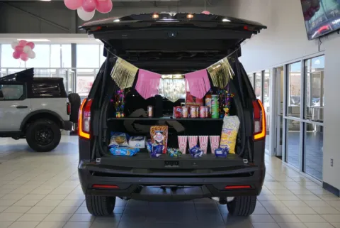 More photos of 2027 Ford Expedition Platinum at Zeigler Ford of Plainwell, MI