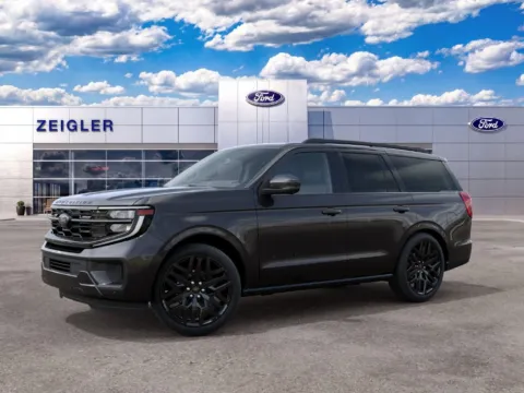 Gray 2027 Ford Expedition Platinum for sale in Plainwell, MI