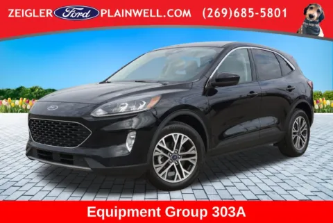 Black 2022 Ford Escape Hybrid SEL for sale in Plainwell, MI