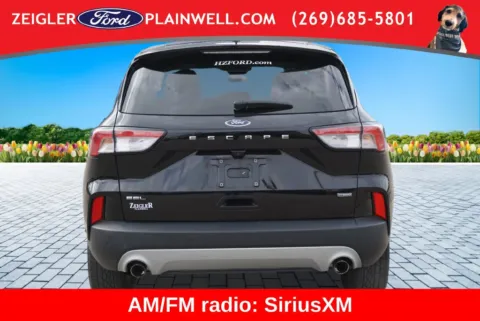More photos of 2022 Ford Escape Hybrid SEL at Zeigler Ford of Plainwell, MI