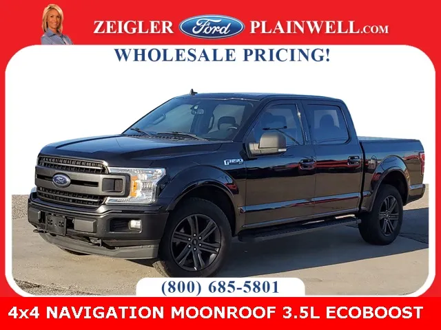2019 Ford F-150 XLT for sale in Plainwell, MI