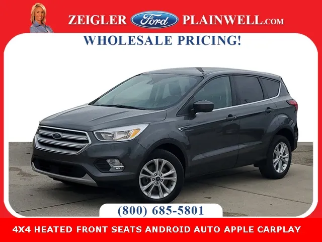 2019 Ford Escape SE for sale in Plainwell, MI