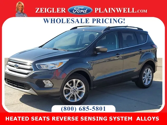 2018 Ford Escape SE for sale in Plainwell, MI
