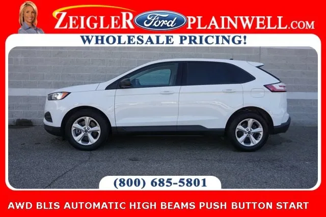 2019 Ford Edge SE for sale in Plainwell, MI