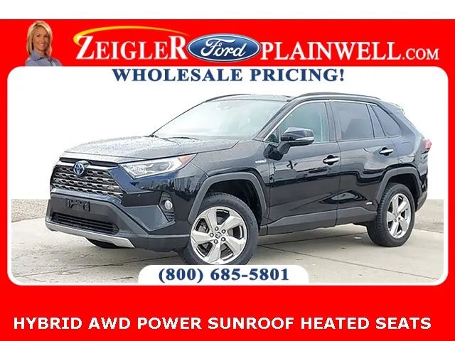 2019 Toyota RAV4 Hybrid Limited for sale in Plainwell, MI